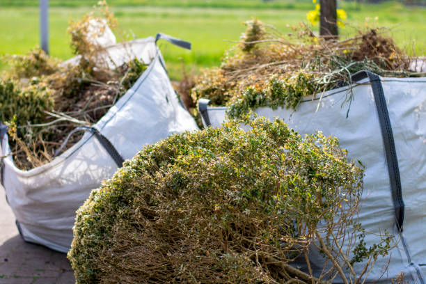 Best Yard Cleanup Services  in Waite Park, MN